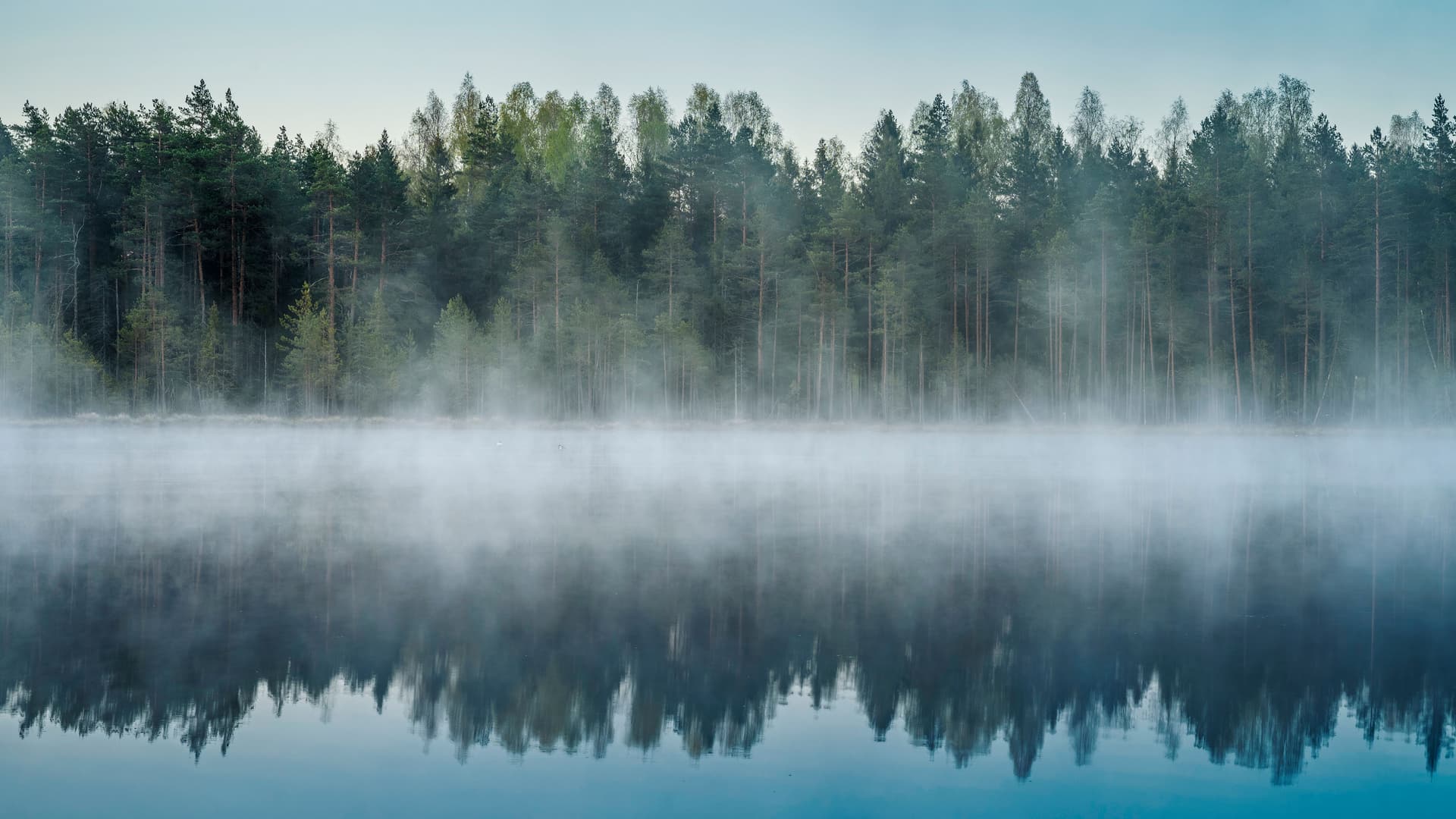 Sumuinen järvimaisema ja puita, BusinessCredit yrityslaina