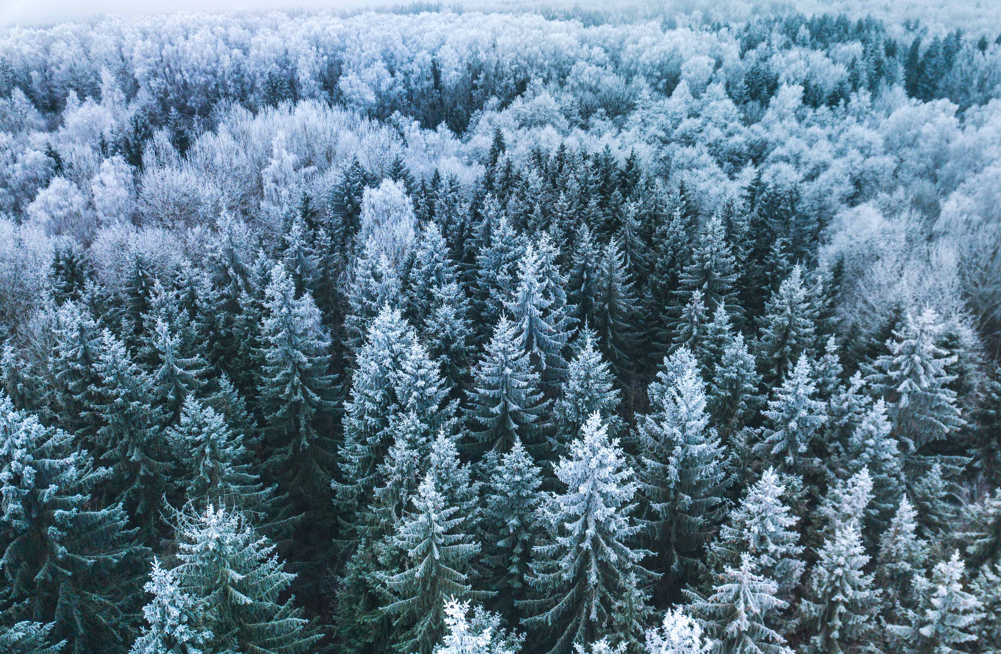 Porkka kotimainen valmistaja