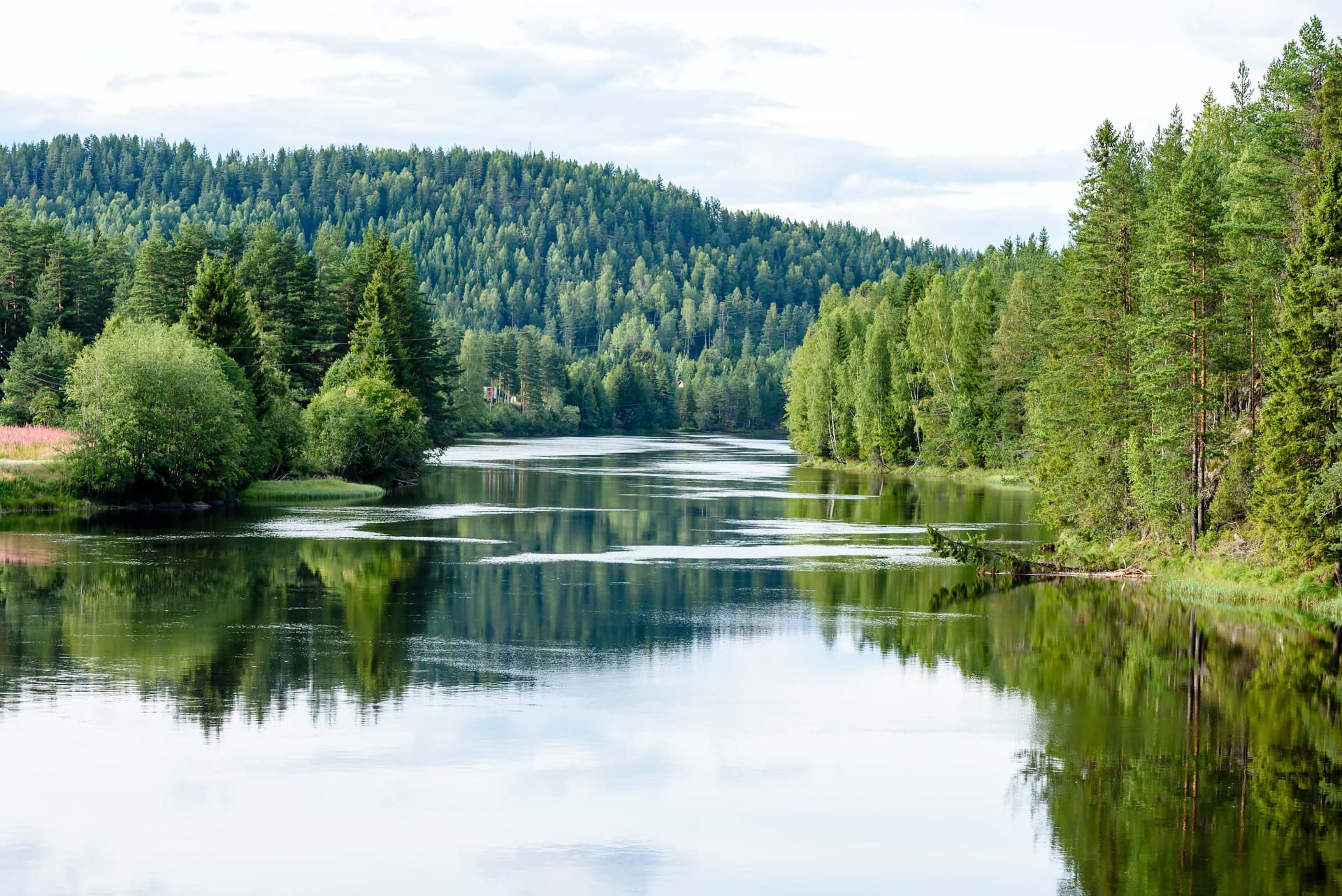 Kesäinen järvimaisema, BusinessCredit yrityslimiitti