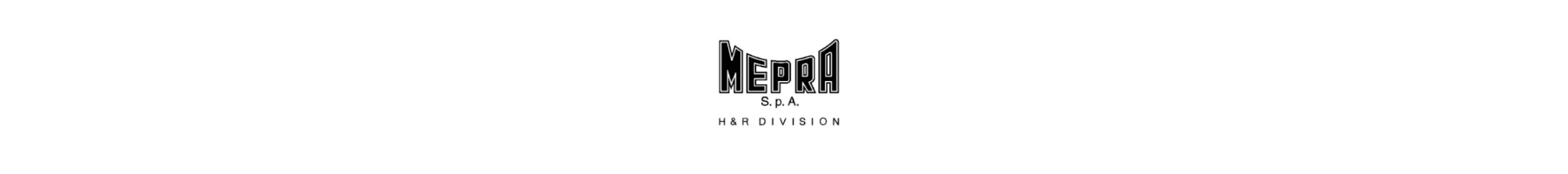 Mepra logo brändisivu 1820x200